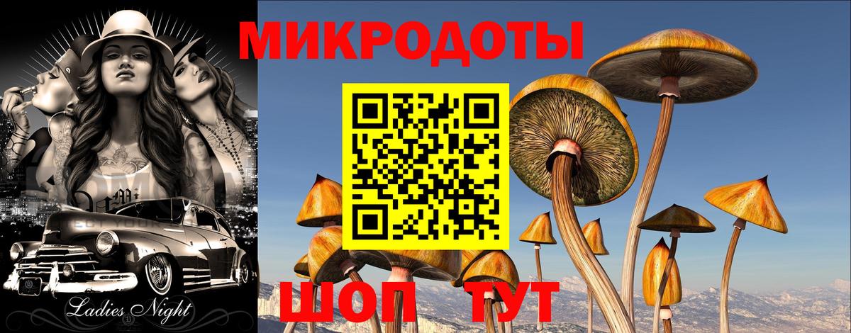 Псилоцибиновые грибы MAGIC MUSHROOMS Полевской