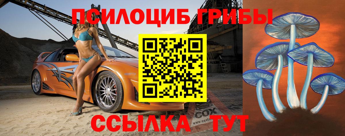 Псилоцибиновые грибы Psilocybe  Вход с VPN  где можно купить наркотик  Полевской 